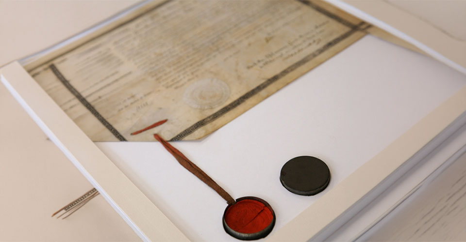 Grünes historisches Wachssiegel mit roten und grünen Siegelschnüren an einem Pergament