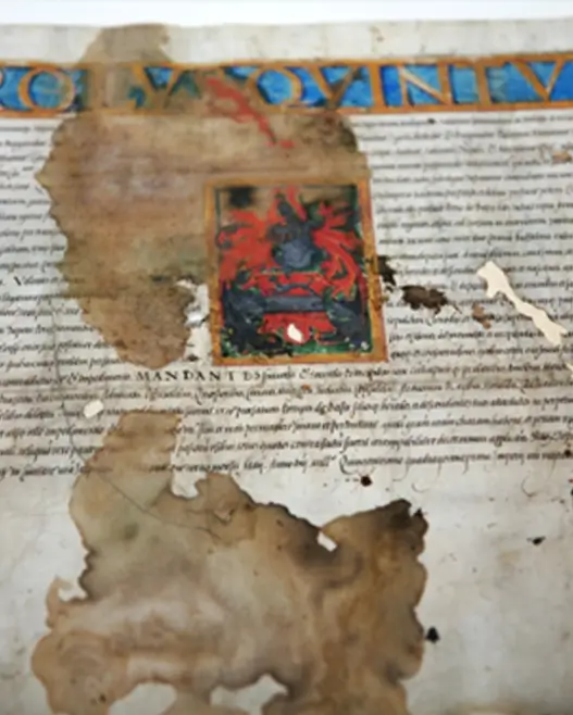 Verziertes historisches Pergament mit farbigem Wappen aus dem 16. Jahrhundert